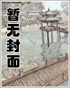 都市纵横王建张婷小说免费